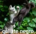 Negros