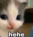 Hehe