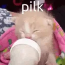 Pilk | .gg/freekittens