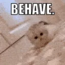 Behave | .gg/freekittens 