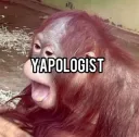 Yapologist