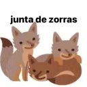 junta de zorras