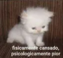 Fisicamente cansado