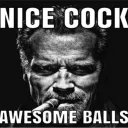 balls