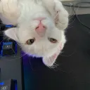 puwplcat