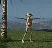 dancing dobby