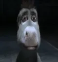 donkey cursed