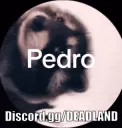 Pedro