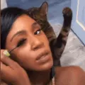 cat beating makeup lady