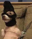 waaa
