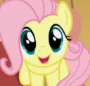 fluttershy