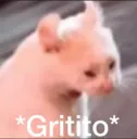 gritito