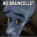 No braincells?