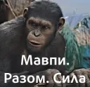 Мавпи. Сила