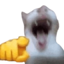 lol