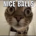 nice balls
