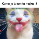 toksik