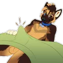 Stiffy
