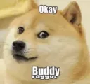 Ok_Buddy