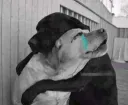 Abrazo