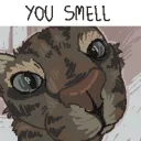 You Smell