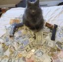 gansta