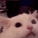 ah