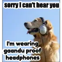 gandu proof headphones 