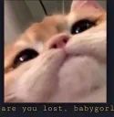 catbbygorl