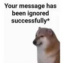 ur msg has been ignored