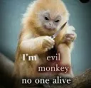 evil monkey