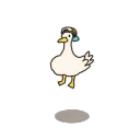 duck bounce