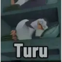 turu