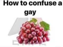 how to confuse a gay