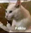 fakiu