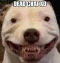 DEAD CHAT