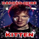 daddys kitten