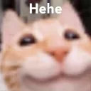 cat hehe