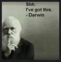 Darwin