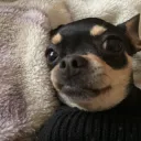 regarde moi dans les yeux