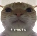hi pretty boy