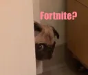fortnitepug