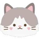 fluffy gray and white cat face