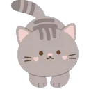 bow gray cat
