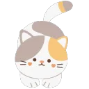 bow gray and orange cat