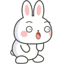 Shocked Rabbit