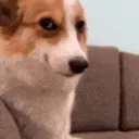 Cheeky