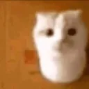 i have something to say