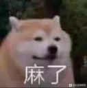 Chinese Dog