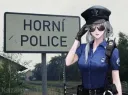 Horni police